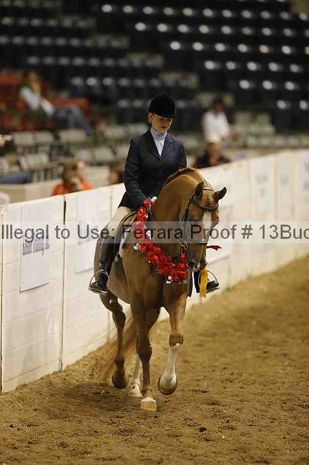 Proof Number 13buck_5318