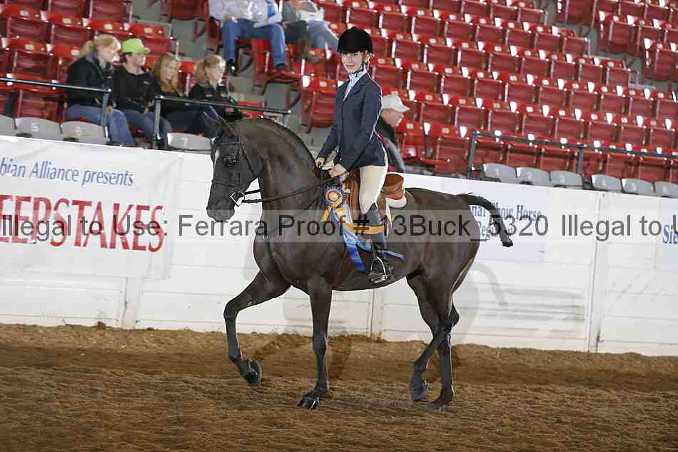 Proof Number 13buck_5320