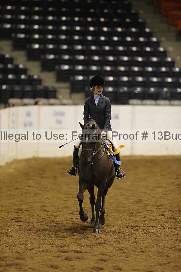 Proof Number 13buck_5323