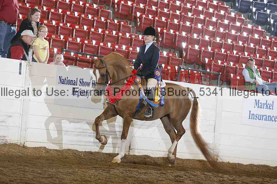 Proof Number 13buck_5341