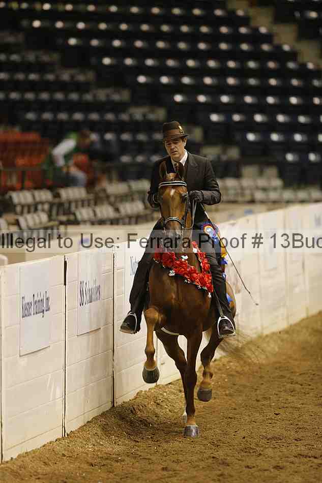 Proof Number 13buck_5374