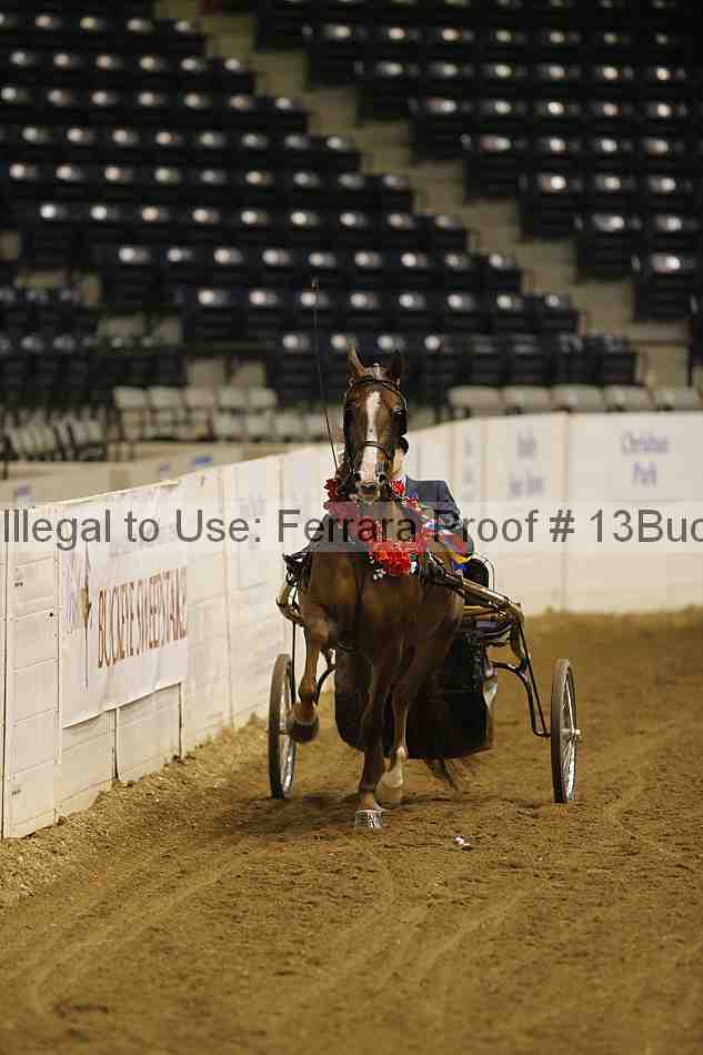 Proof Number 13buck_5389