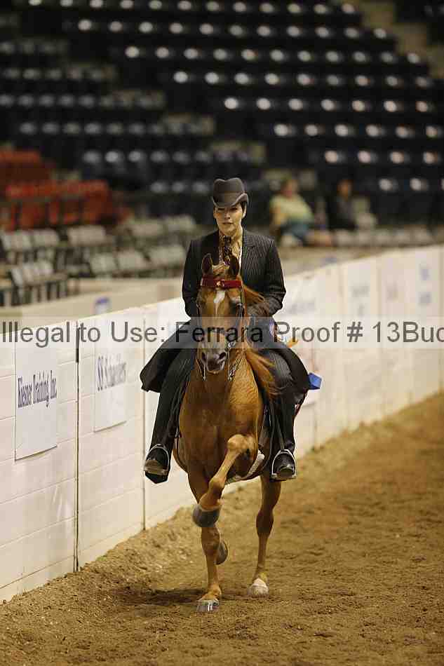Proof Number 13buck_5416