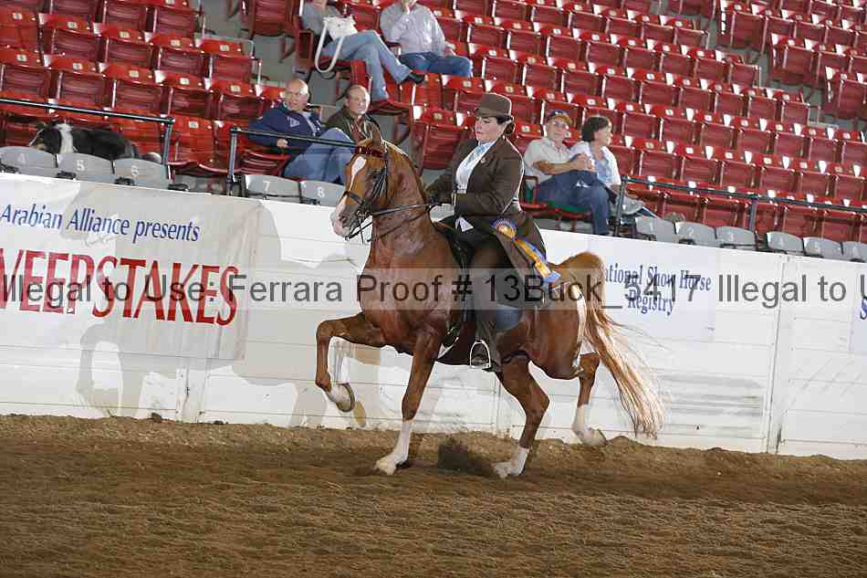 Proof Number 13buck_5417