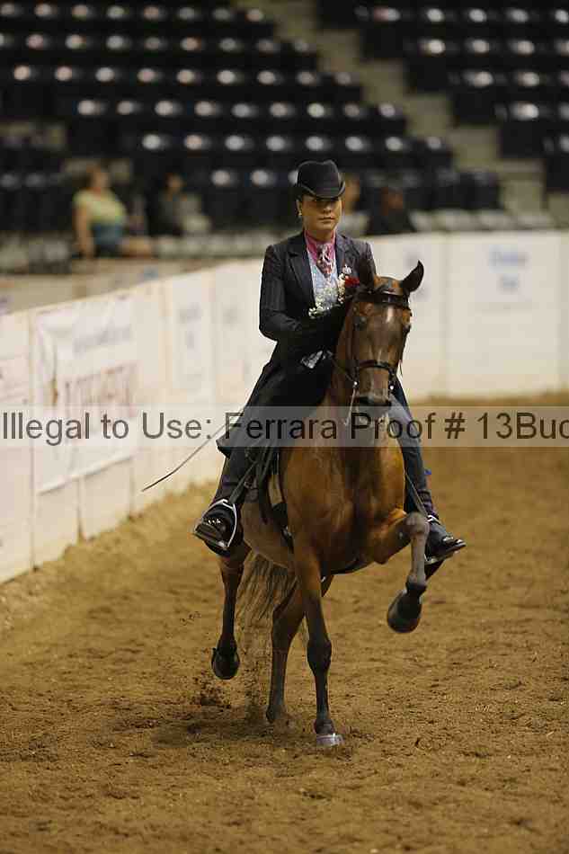 Proof Number 13buck_5418