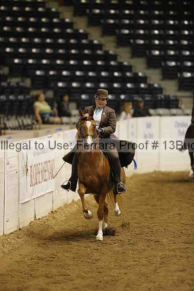 Proof Number 13buck_5421