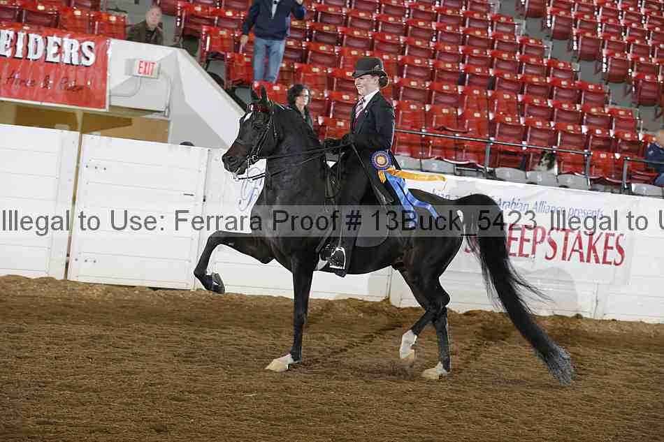 Proof Number 13buck_5423