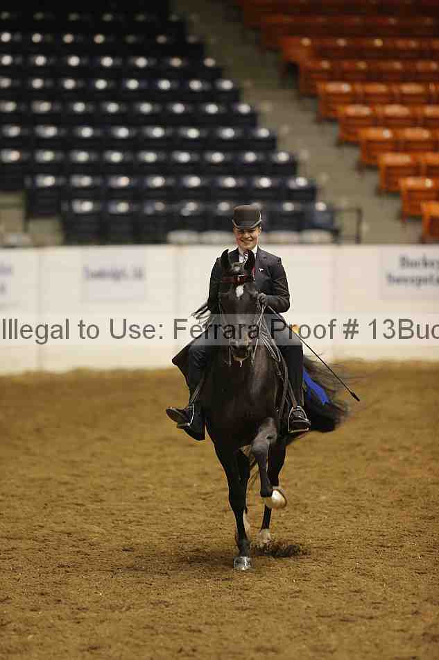 Proof Number 13buck_5425