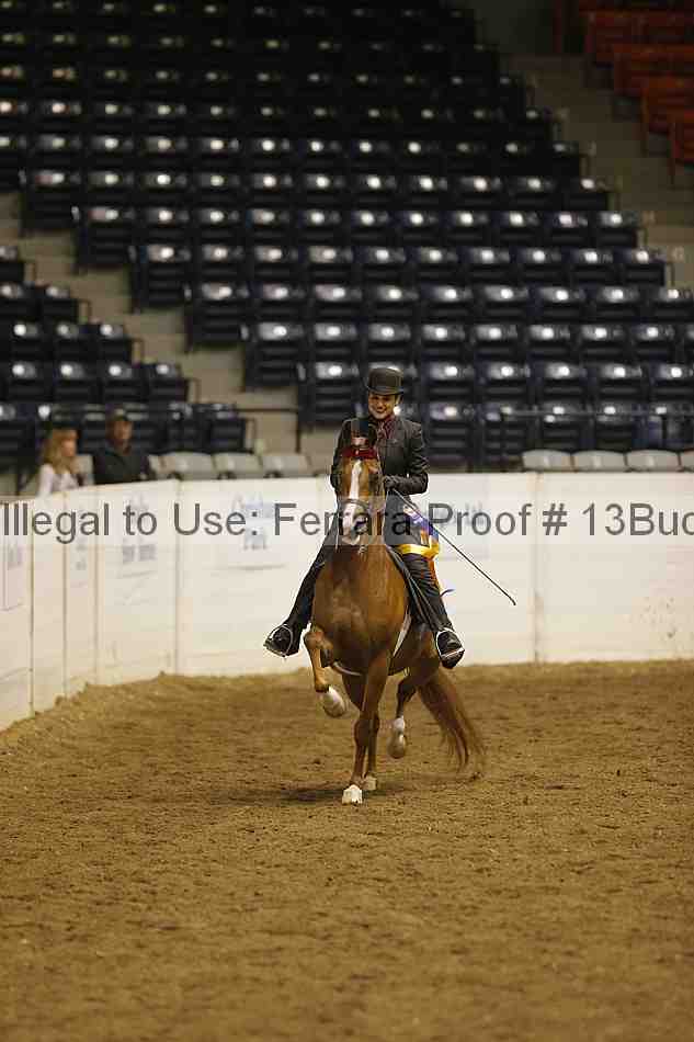 Proof Number 13buck_5430
