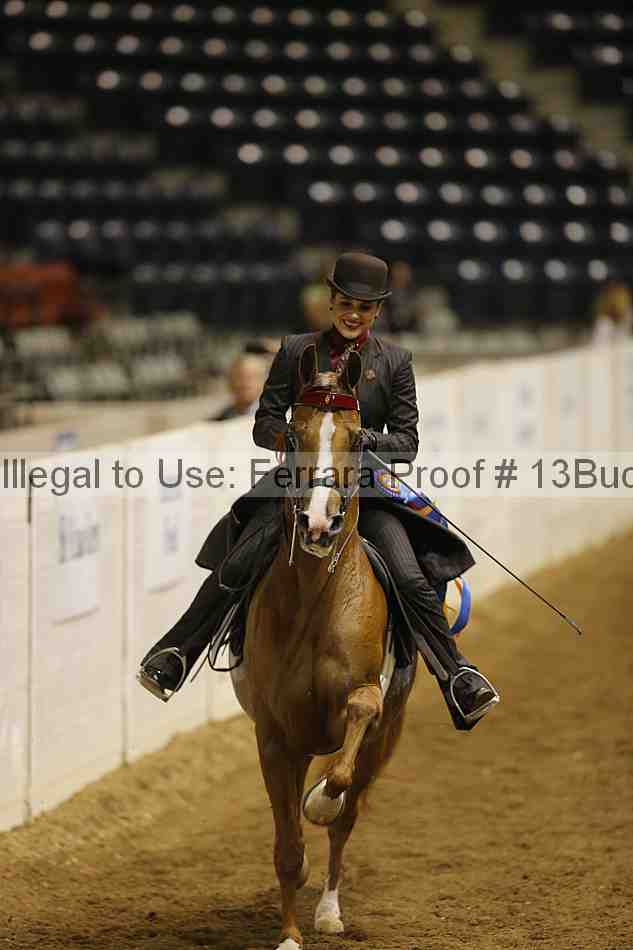 Proof Number 13buck_5432