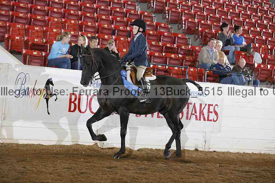 Proof Number 13buck_5515