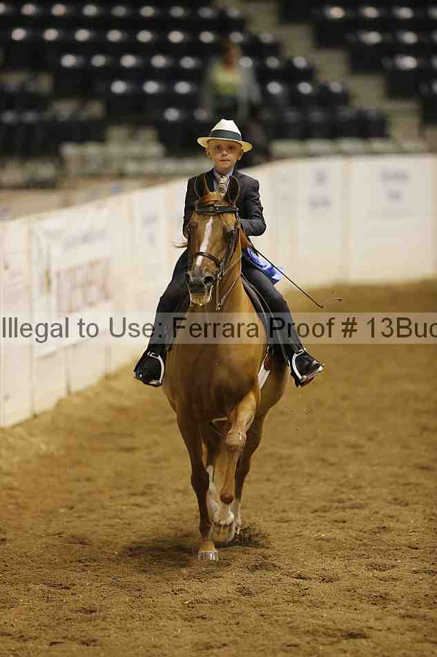 Proof Number 13buck_5597