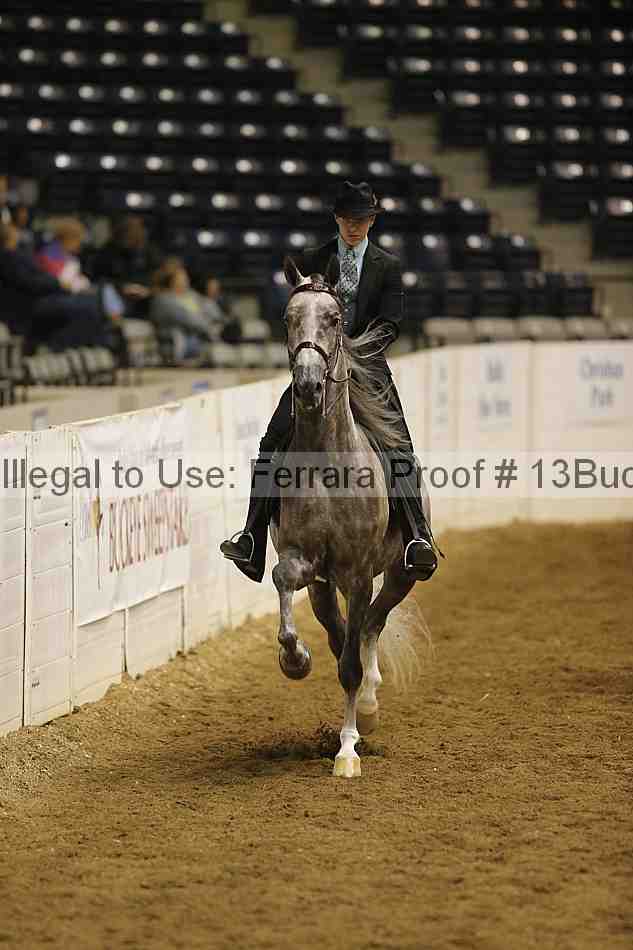 Proof Number 13buck_5684