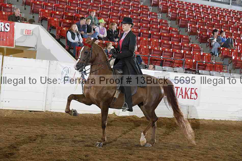 Proof Number 13buck_5695