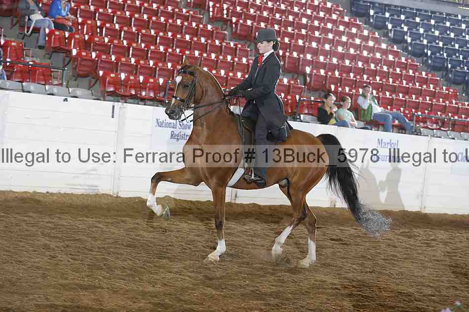 Proof Number 13buck_5978
