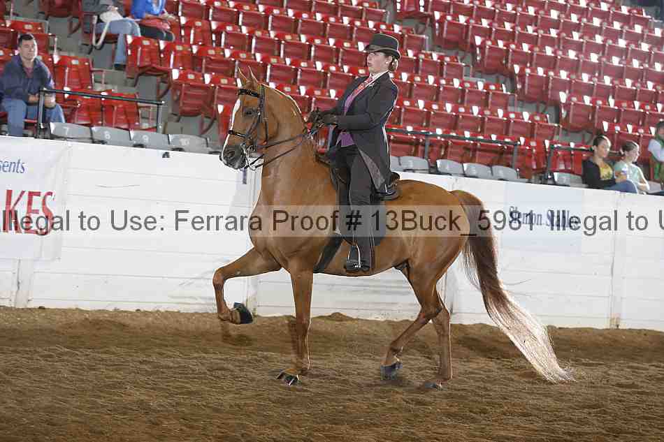 Proof Number 13buck_5981