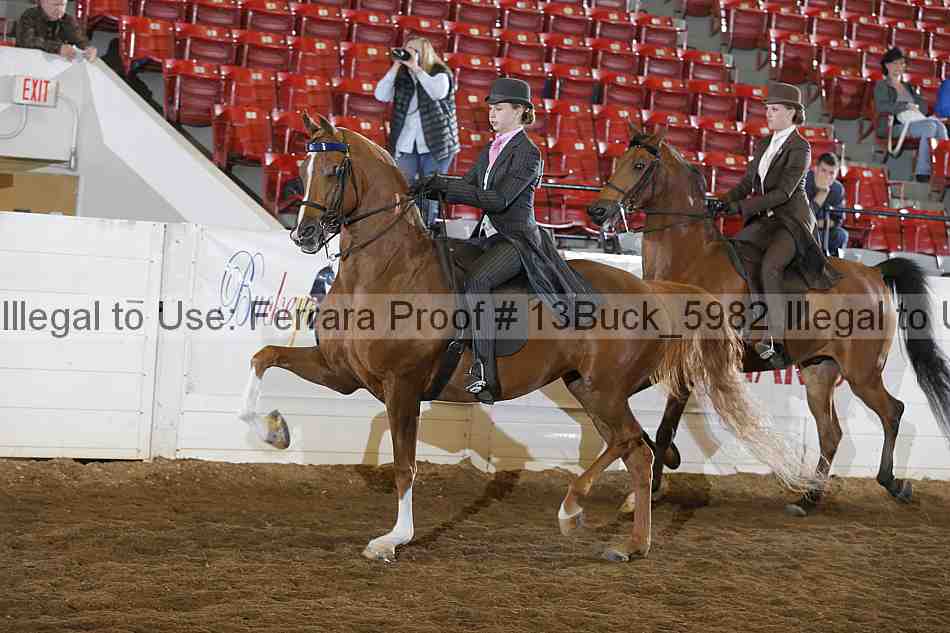 Proof Number 13buck_5982