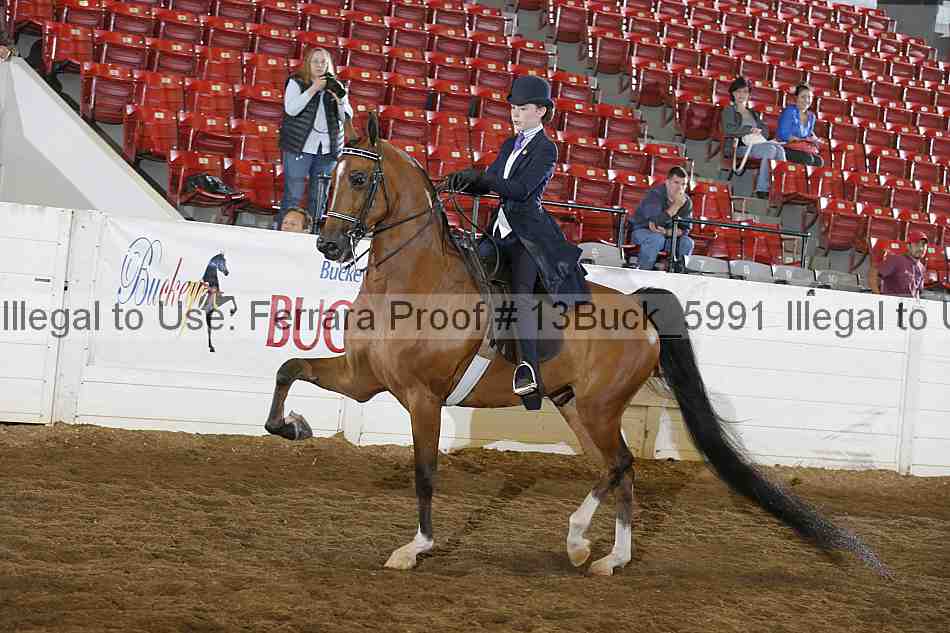 Proof Number 13buck_5991