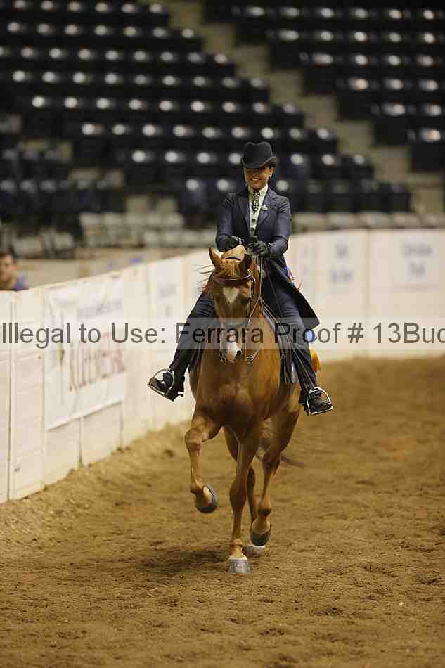 Proof Number 13buck_6019