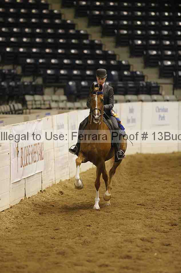 Proof Number 13buck_6021