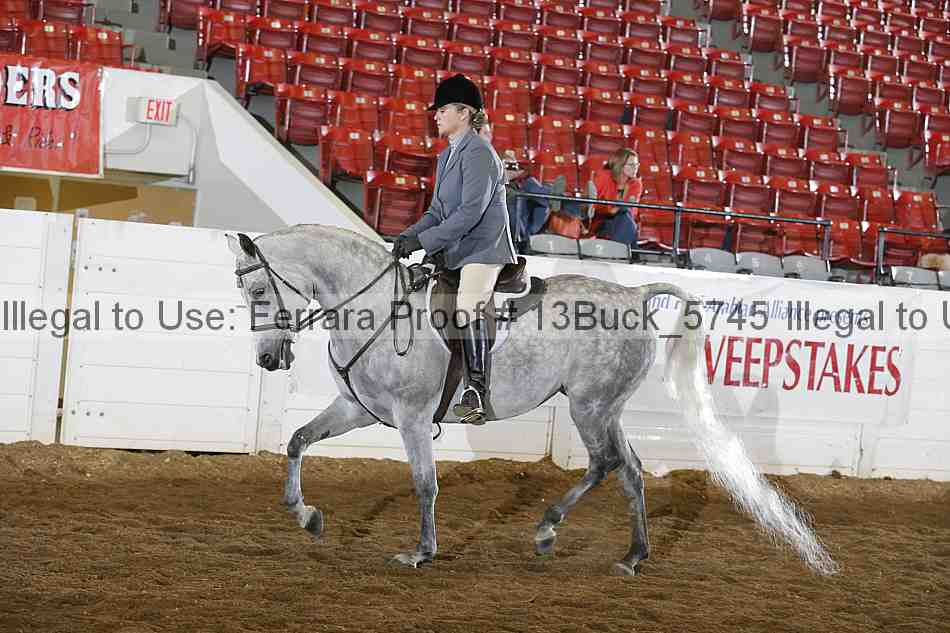 Proof Number 13buck_5745