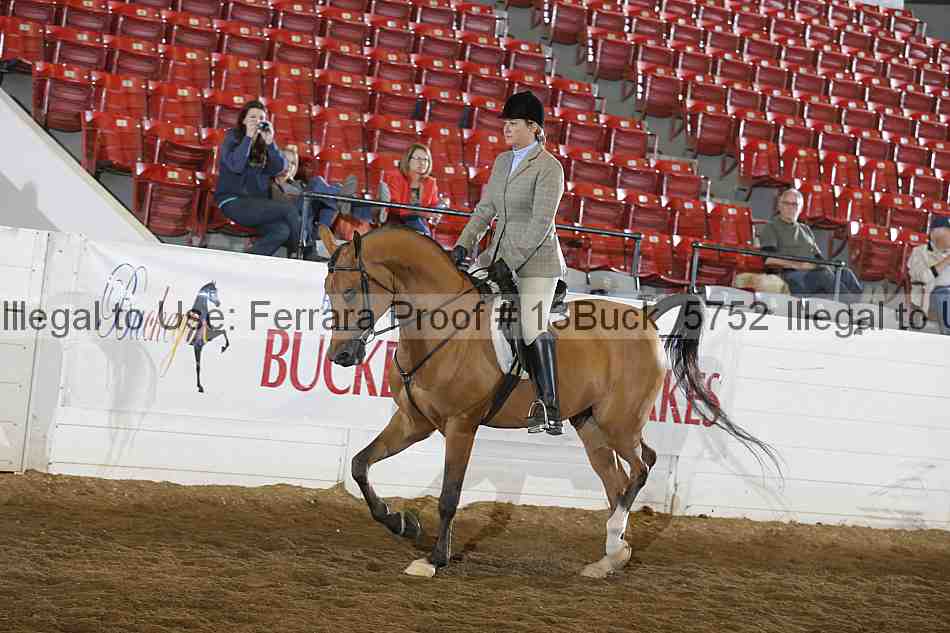 Proof Number 13buck_5752