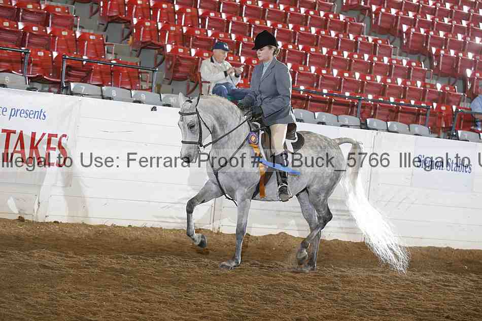Proof Number 13buck_5766