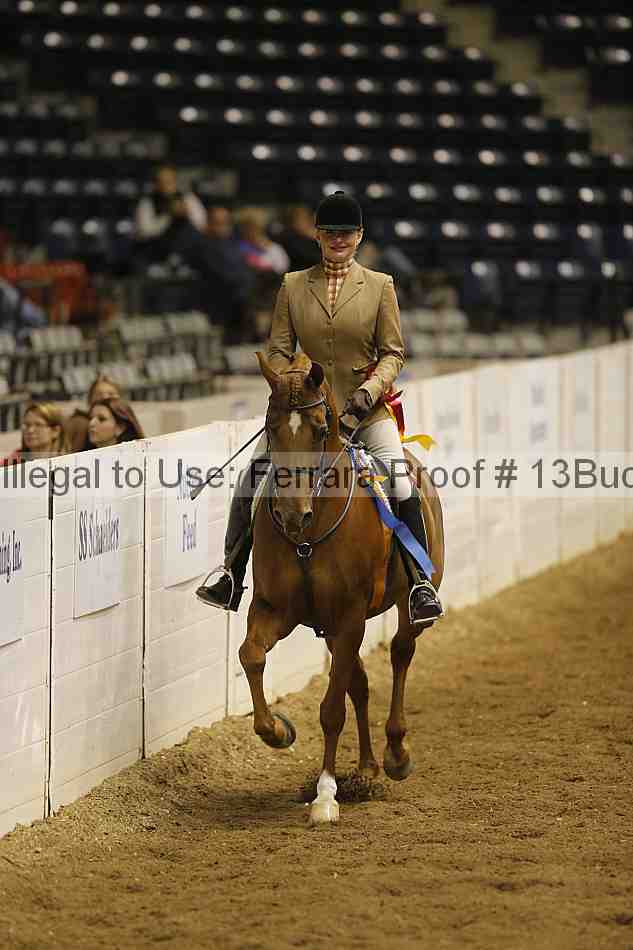 Proof Number 13buck_5784