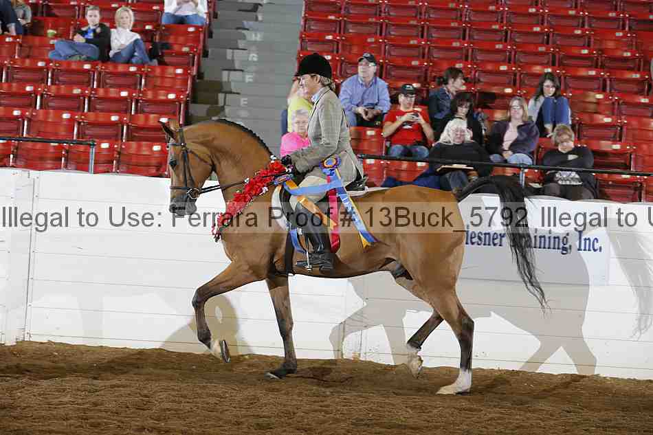 Proof Number 13buck_5792
