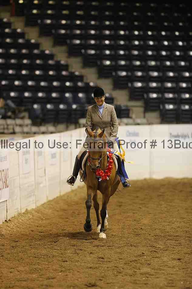 Proof Number 13buck_5793