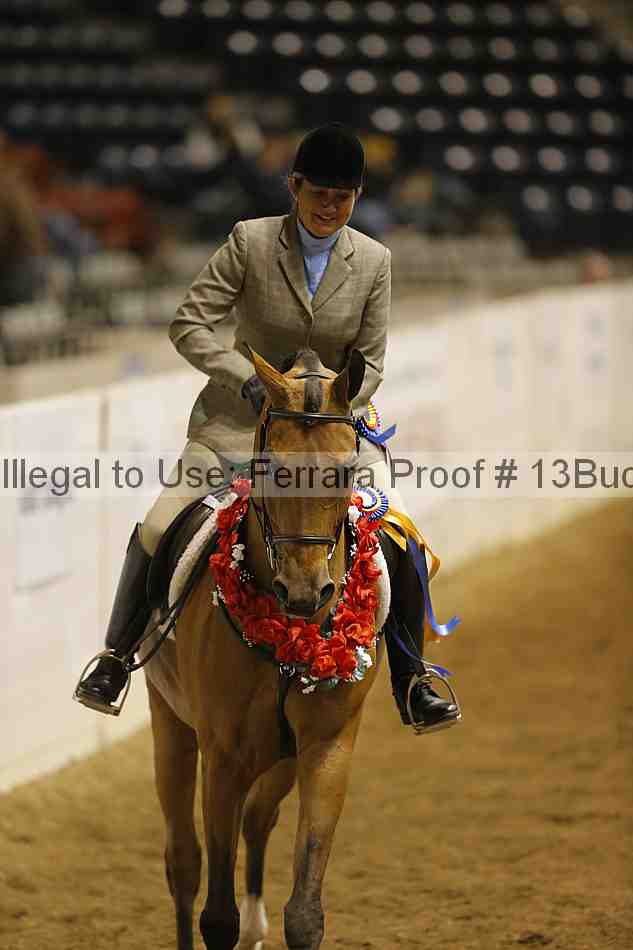 Proof Number 13buck_5796