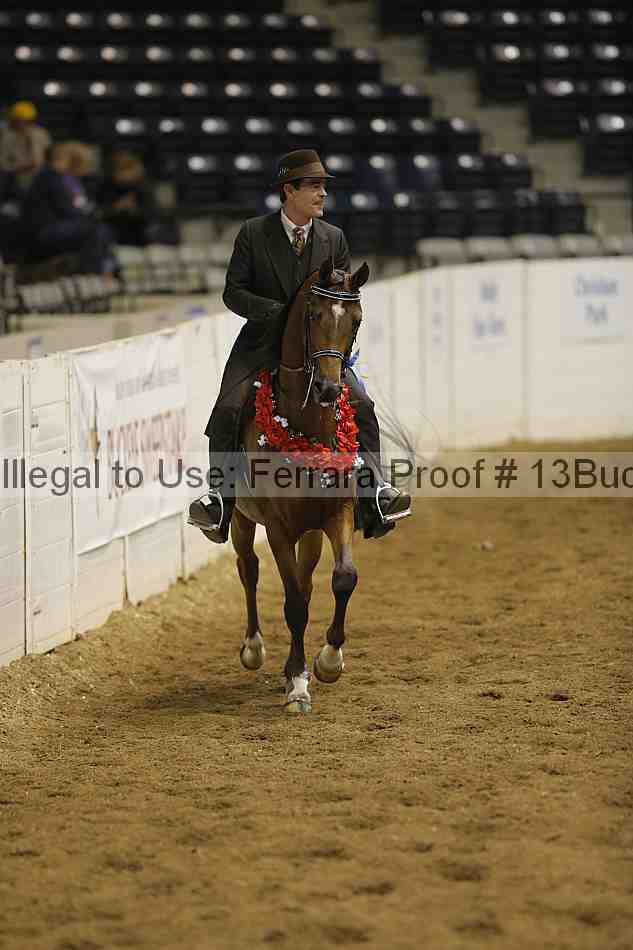 Proof Number 13buck_5812