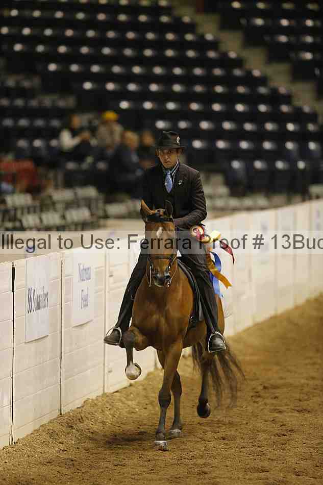Proof Number 13buck_5830