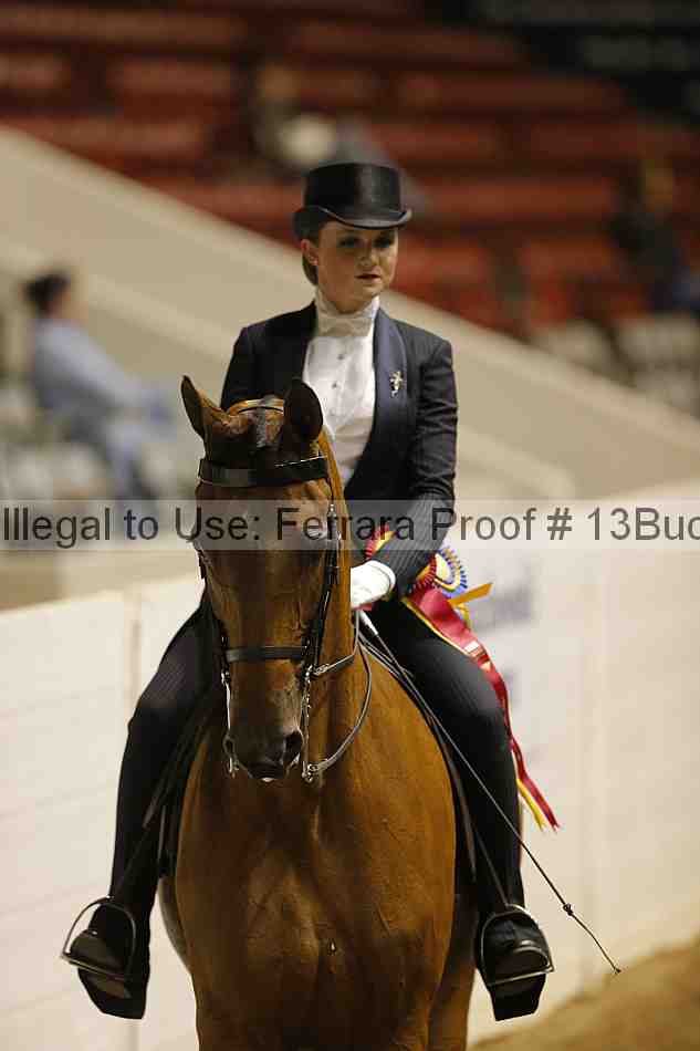 Proof Number 13buck_6100