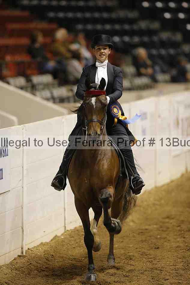 Proof Number 13buck_6119