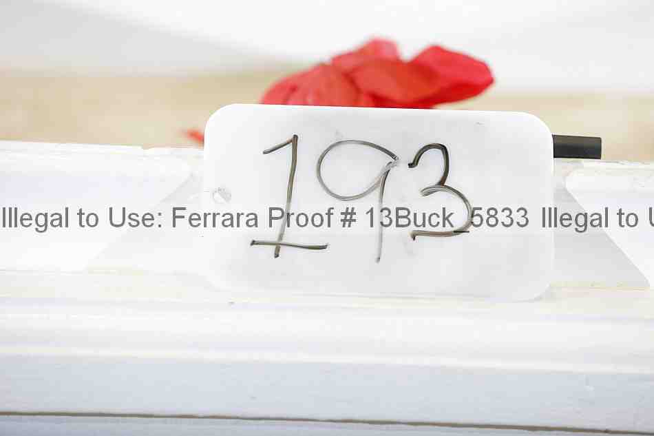Proof Number 13buck_5833
