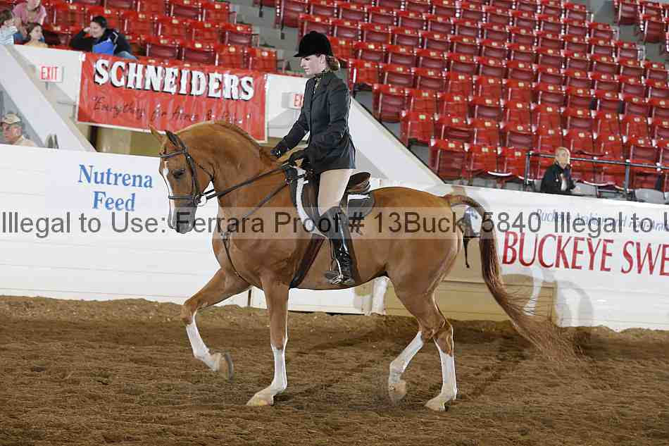 Proof Number 13buck_5840