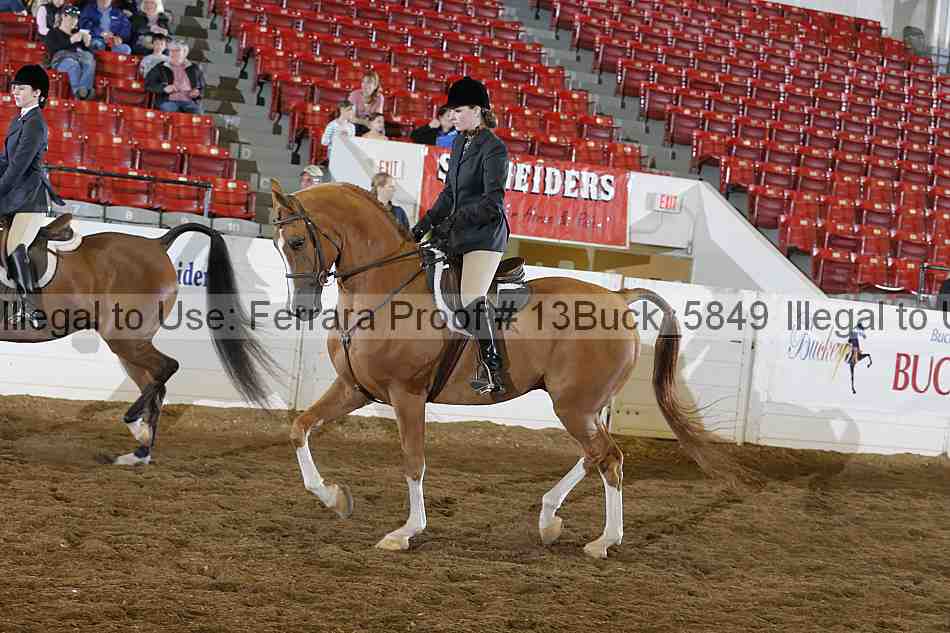Proof Number 13buck_5849
