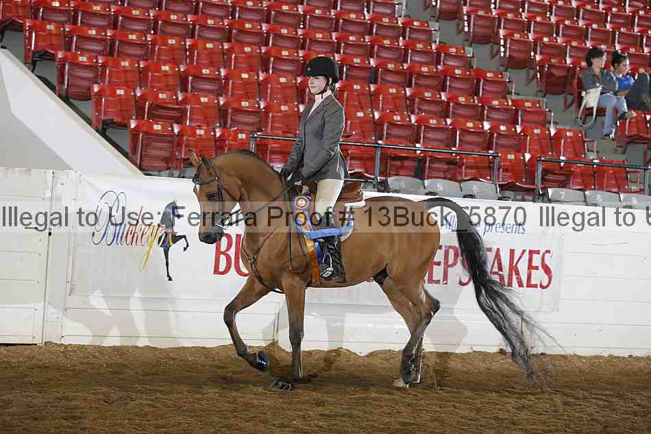Proof Number 13buck_5870