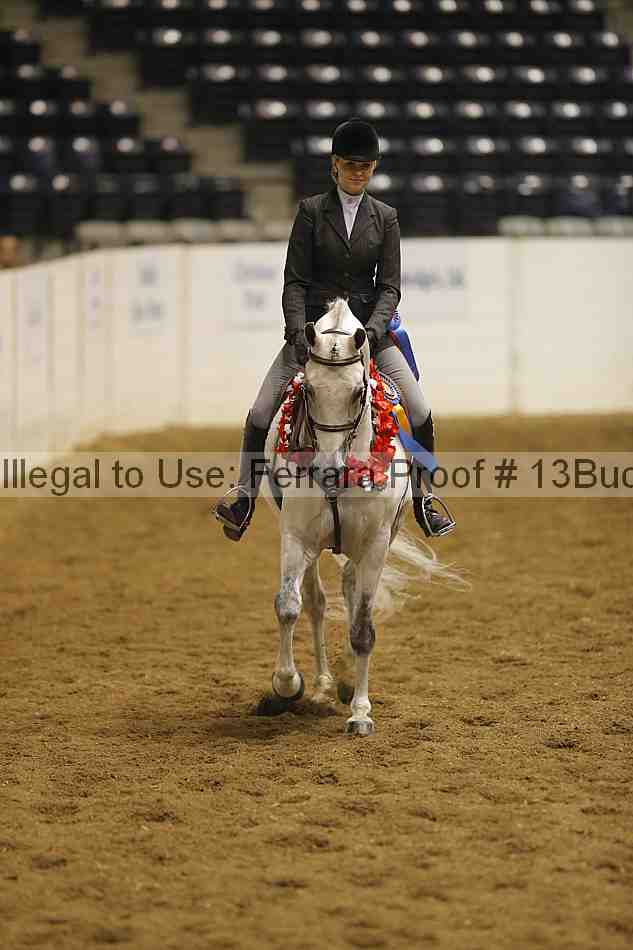 Proof Number 13buck_5888