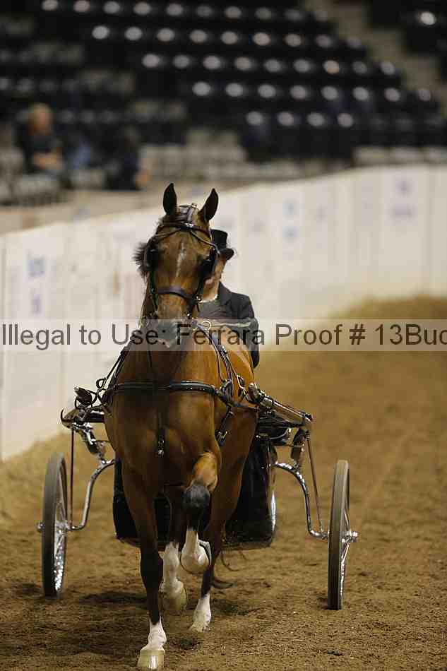 Proof Number 13buck_6154