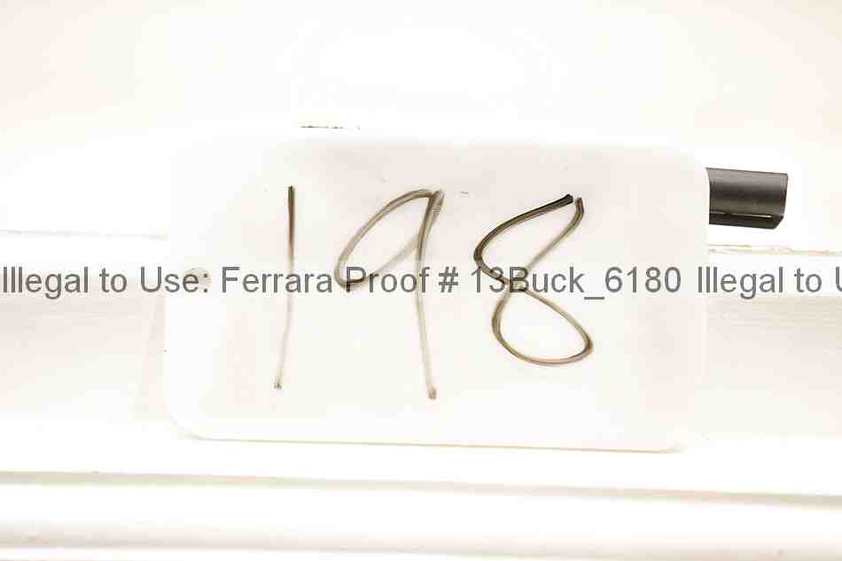 Proof Number 13buck_6180