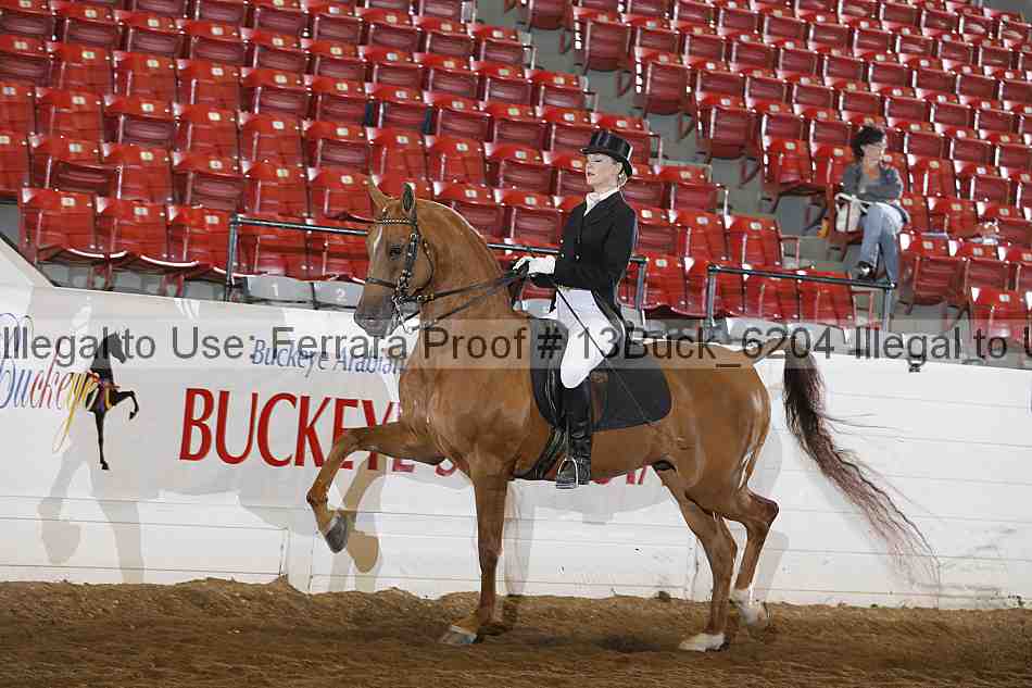 Proof Number 13buck_6204