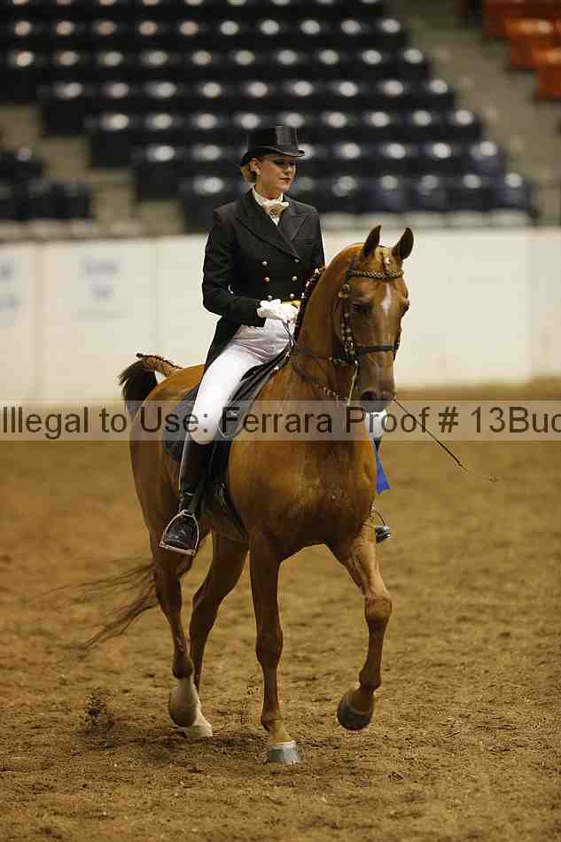Proof Number 13buck_6206