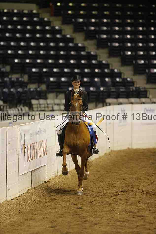 Proof Number 13buck_6222