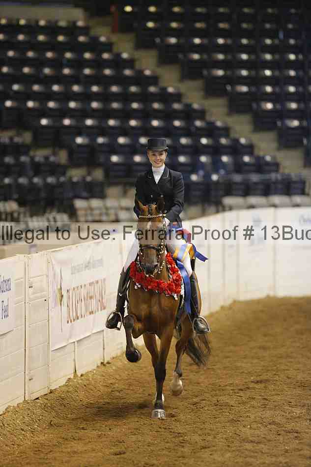 Proof Number 13buck_6227