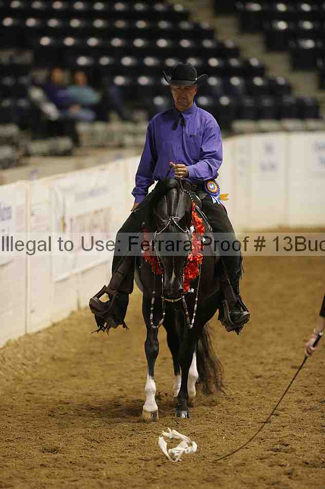 Proof Number 13buck_6257