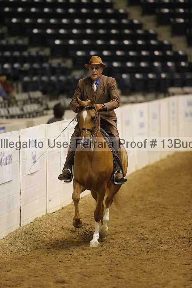 Proof Number 13buck_6261