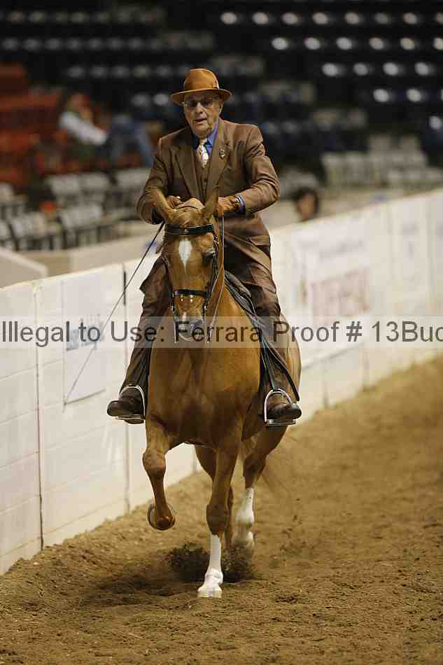 Proof Number 13buck_6262