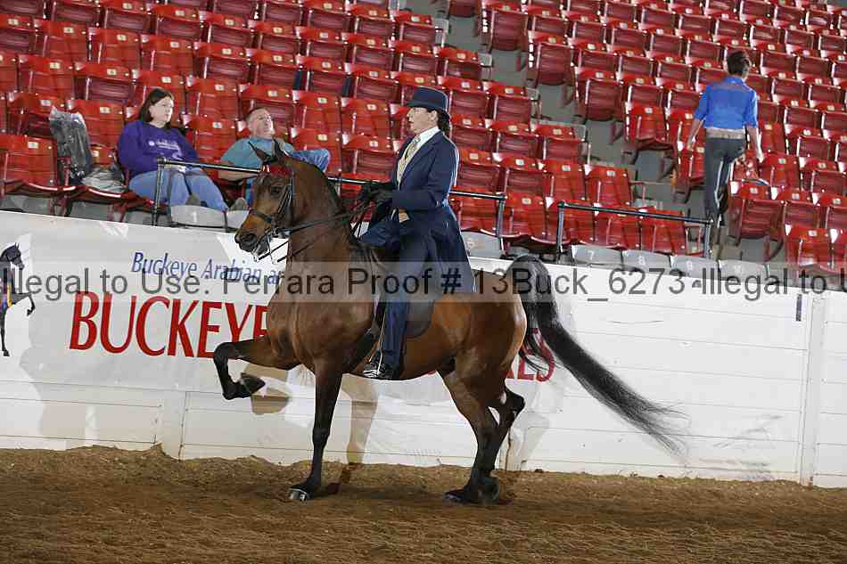Proof Number 13buck_6273